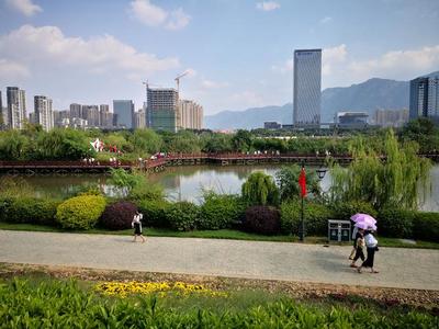 福州國慶節(jié)最火的一座公園,向日葵花海美翻了!