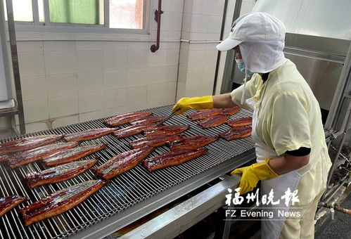 長樂全力打造“海上糧倉” 研發水產品預制菜，提升福州海蚌產業影響力
